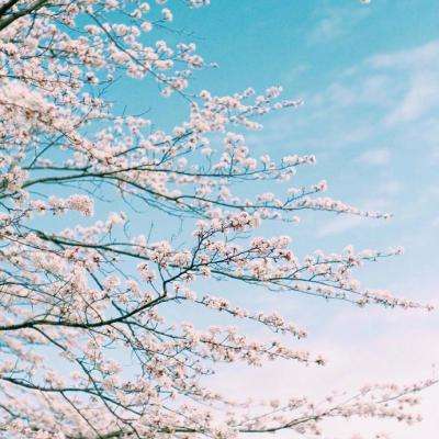 ManBetX客户端登录下载手机版